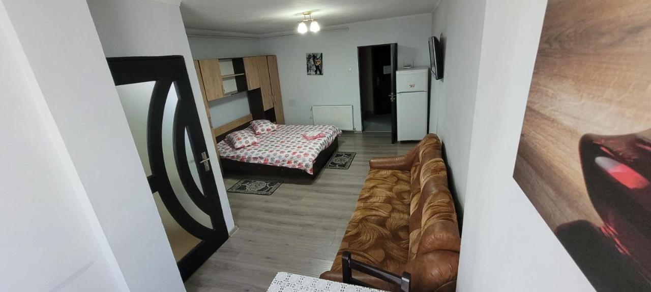Flora Apartament Lägenhet Satu Mare Exteriör bild
